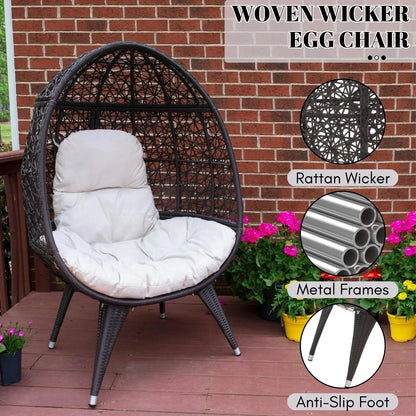 Yasira Outdoor All-Weather Wicker Egg Chair