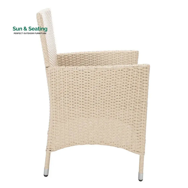 Bongiwe 9-Piece Outdoor Rattan Wicker Dinning Table Set Dining Set