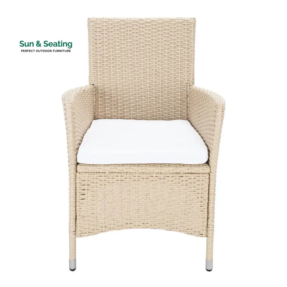 Bongiwe 9-Piece Outdoor Rattan Wicker Dinning Table Set Dining Set