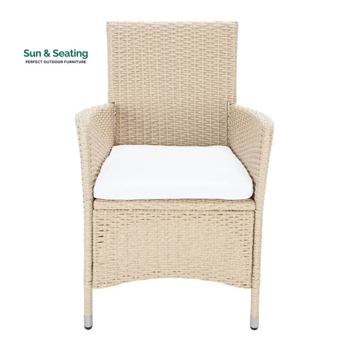 Bongiwe 9-Piece Outdoor Rattan Wicker Dinning Table Set Dining Set