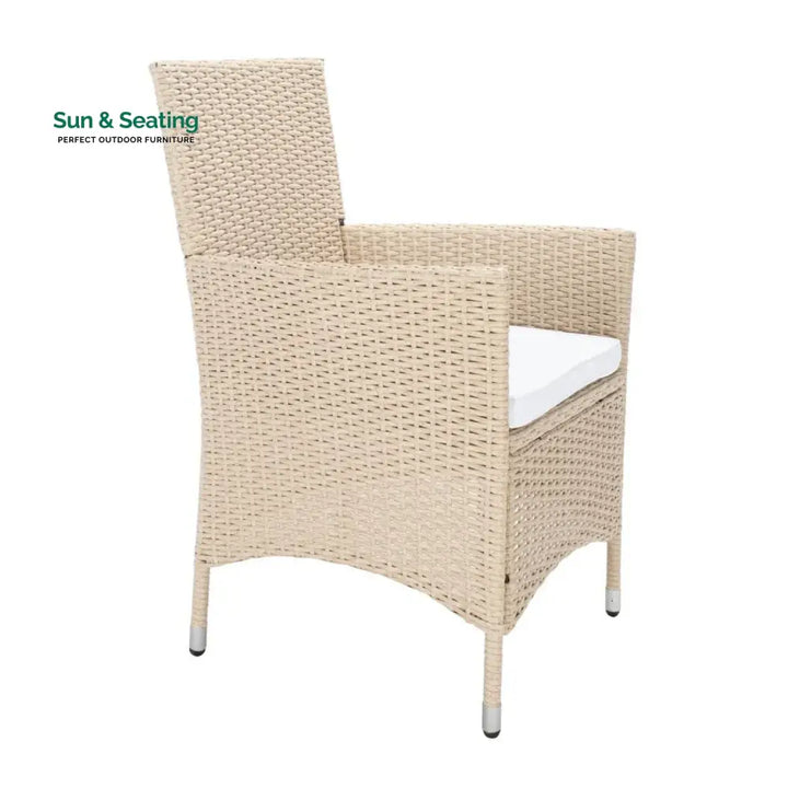 Bongiwe 9-Piece Outdoor Rattan Wicker Dinning Table Set Dining Set