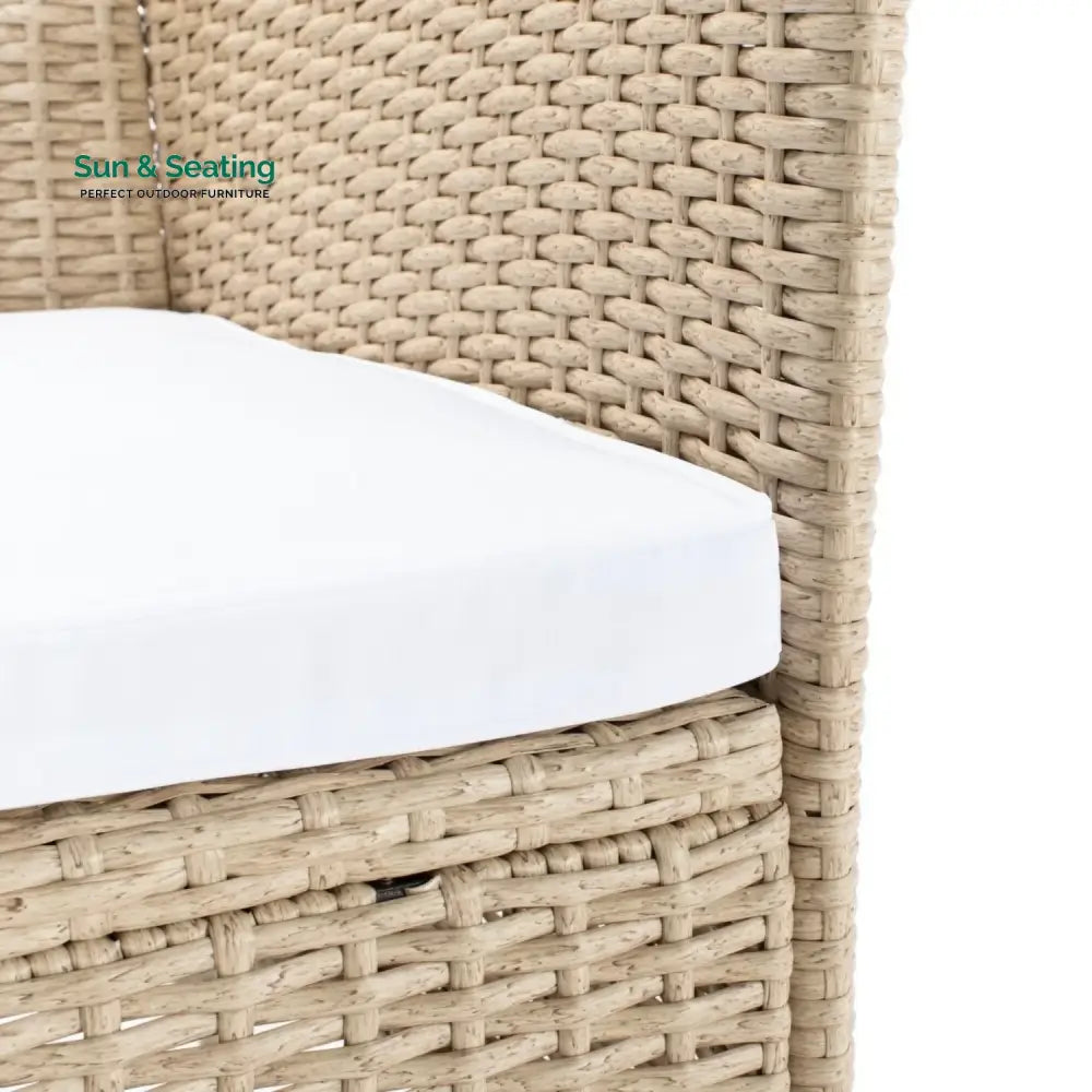 Bongiwe 9-Piece Outdoor Rattan Wicker Dinning Table Set Dining Set