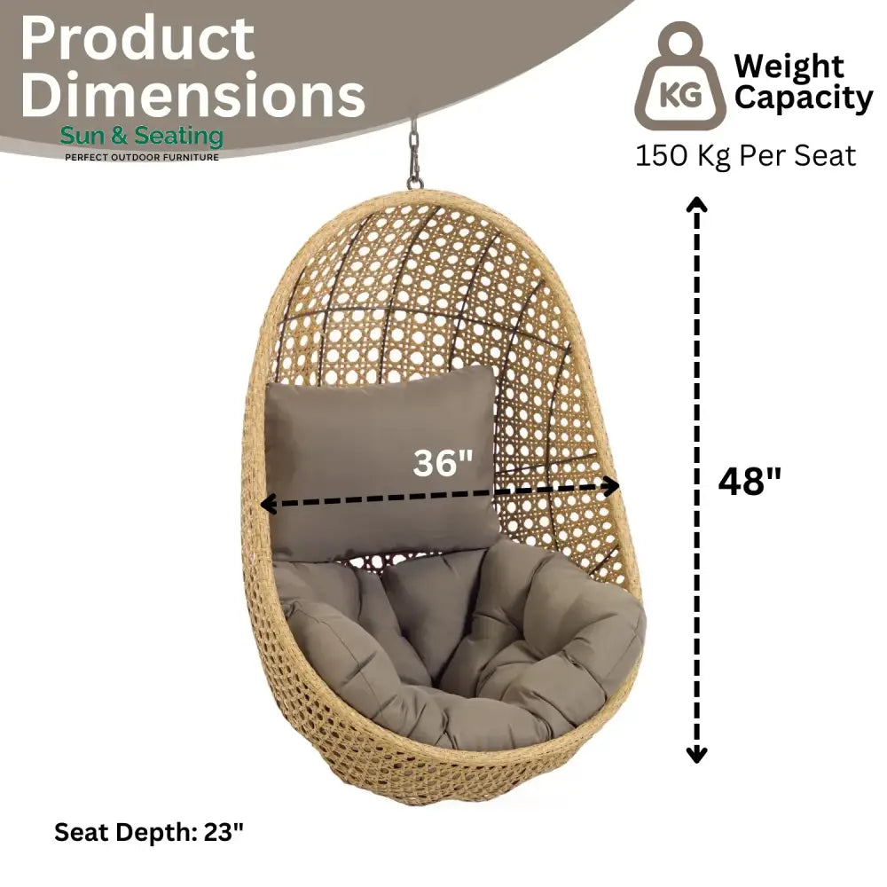 Consuelo Egg Swing Chair (Beige and Dark Grey) Swing