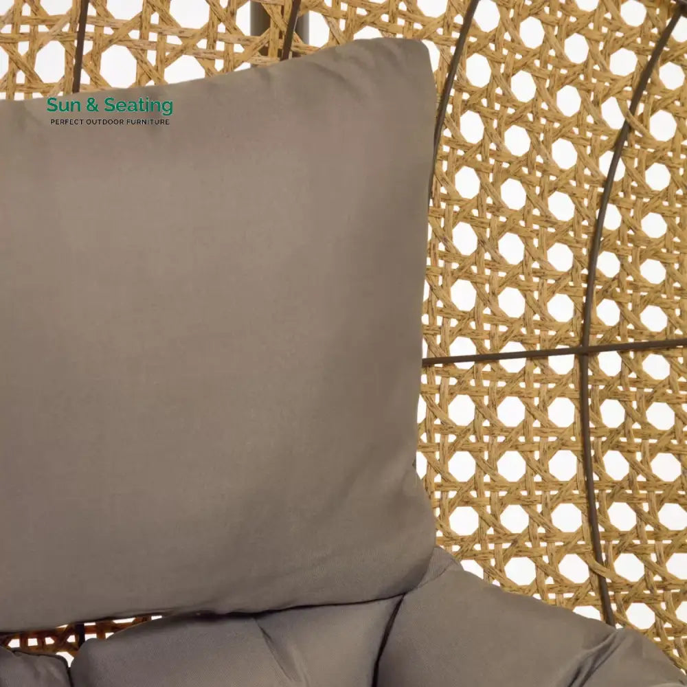 Daniela Egg Swing Chair (Beige and Dark Grey) Swing