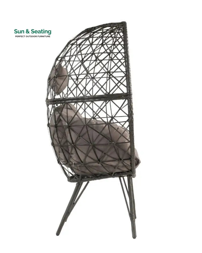 Ennio Single Seater Swing Basket For Balcony &amp; Garden (Black) Swings