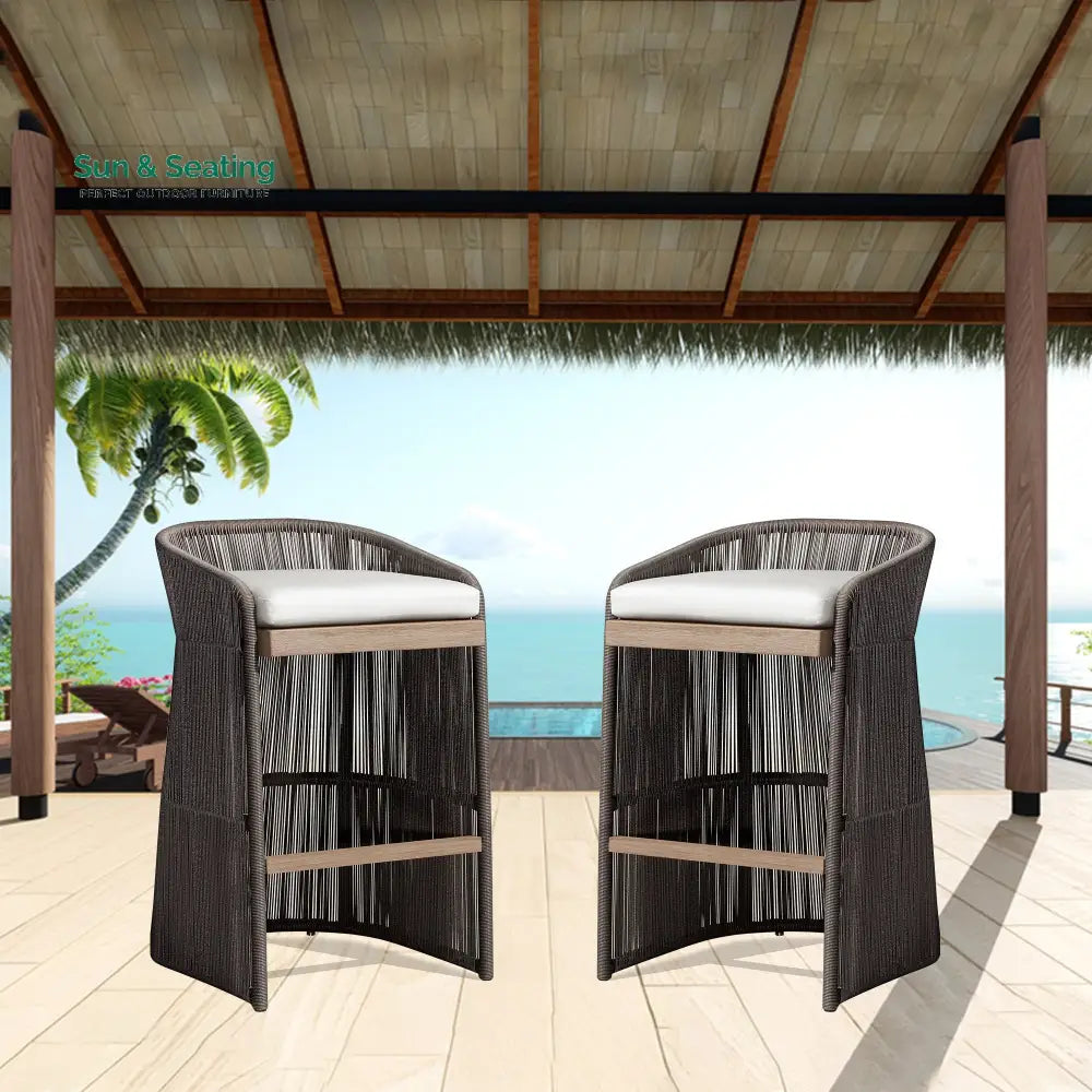 Erim Outdoor Patio Bar Chair 2 Chair For Balcony Braided & Rope Grey Bar Sets