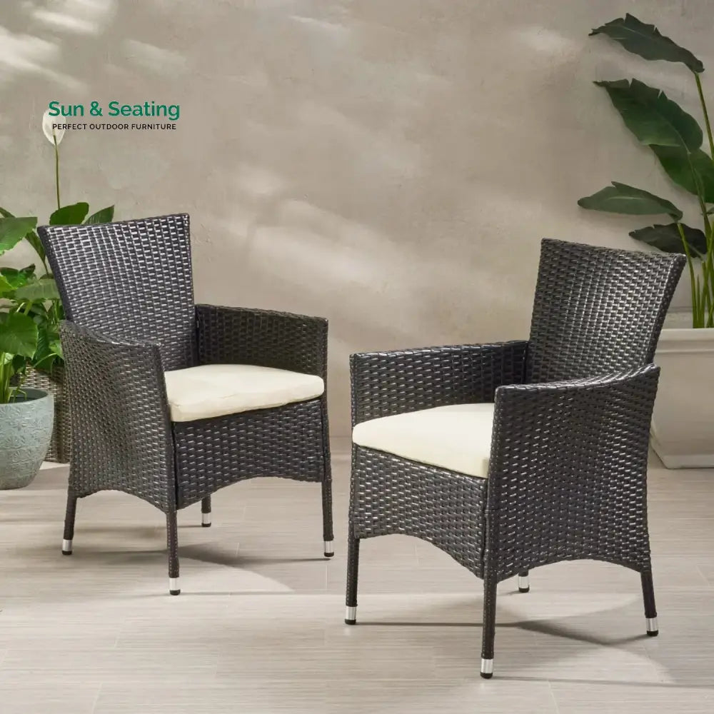 Hailey 2-Piece Outdoor Rattan Wicker Patio Dining Chairs Dinning Chairs