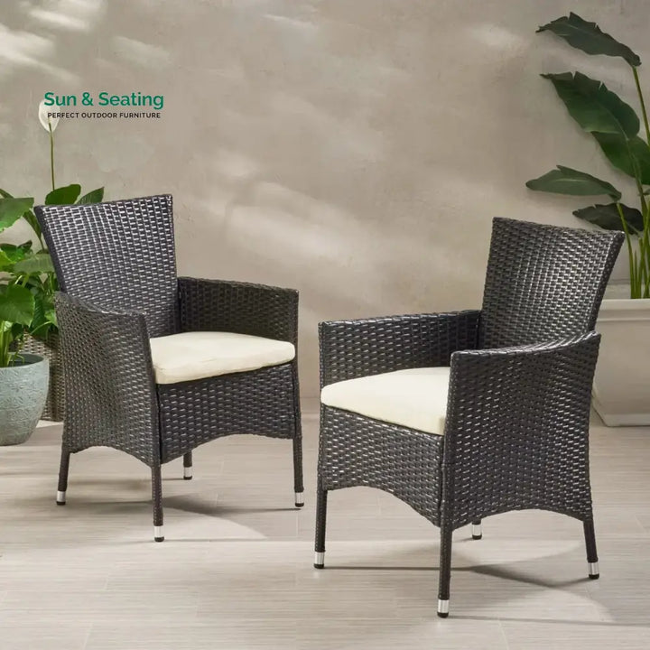 Hailey 2-Piece Outdoor Rattan Wicker Patio Dining Chairs Dinning Chairs