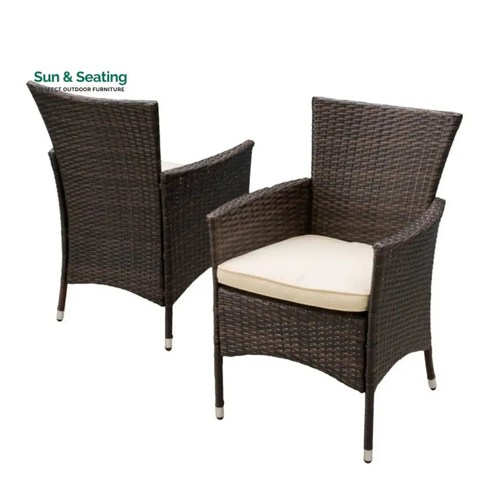 Hailey 2-Piece Outdoor Rattan Wicker Patio Dining Chairs Dinning Chairs