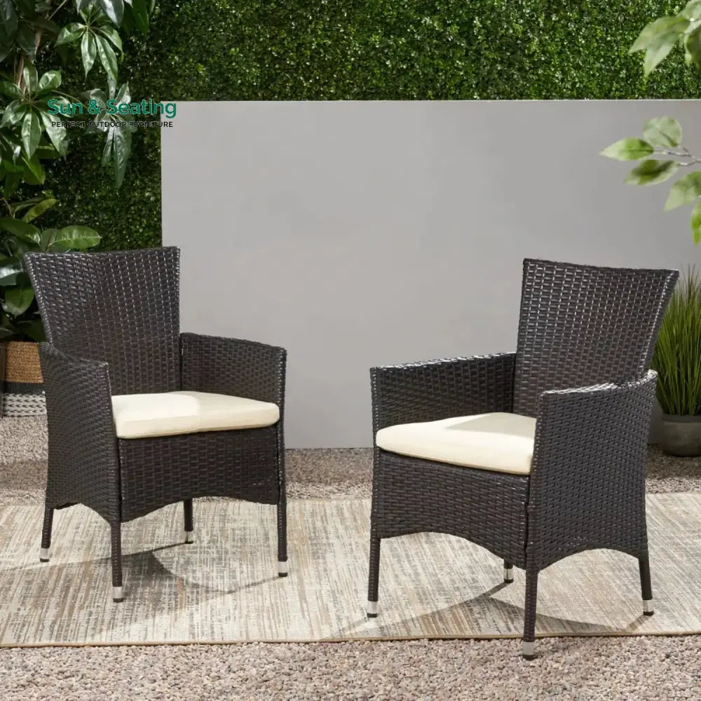 Hailey 2-Piece Outdoor Rattan Wicker Patio Dining Chairs Dinning Chairs