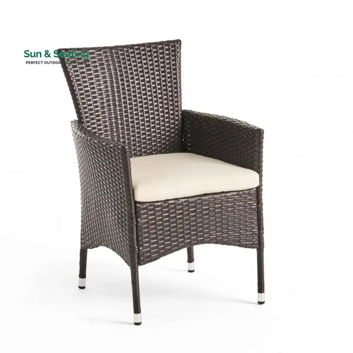 Hailey 2-Piece Outdoor Rattan Wicker Patio Dining Chairs Dinning Chairs