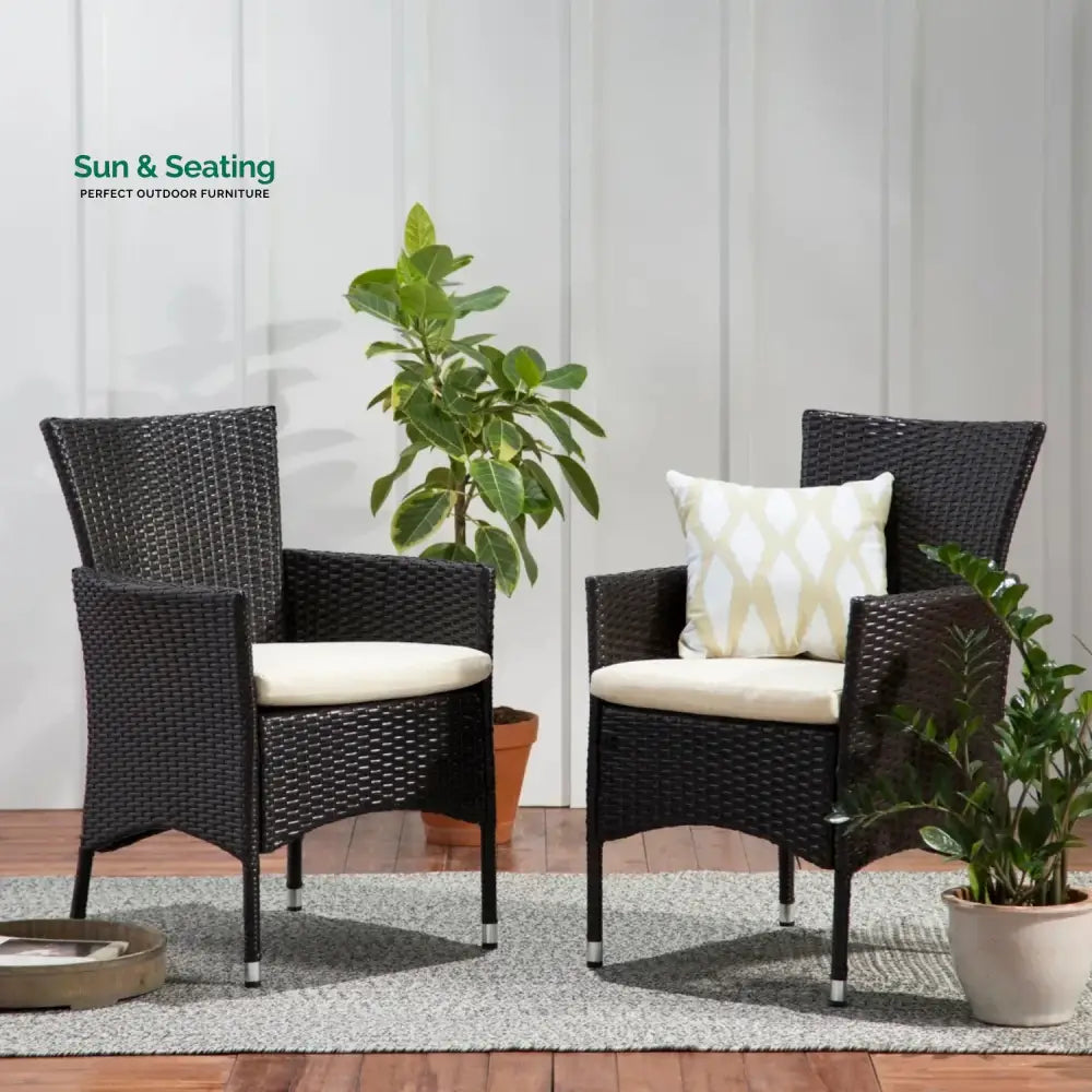 Hailey 2-Piece Outdoor Rattan Wicker Patio Dining Chairs Dinning Chairs