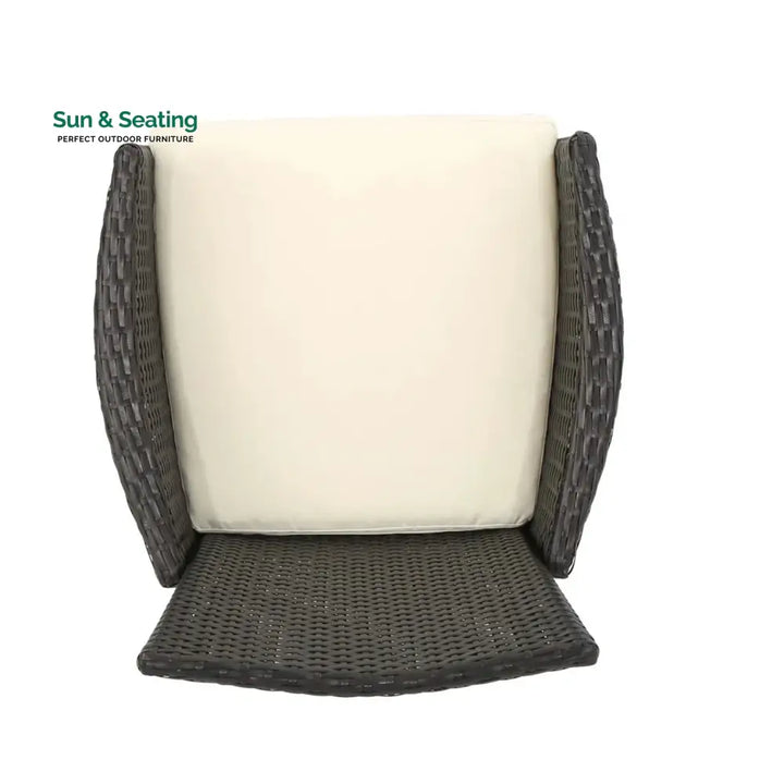 Hailey 2-Piece Outdoor Rattan Wicker Patio Dining Chairs Dinning Chairs