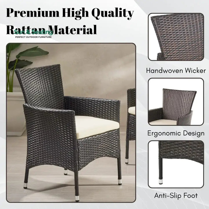 Hailey 2-Piece Outdoor Rattan Wicker Patio Dining Chairs Dinning Chairs