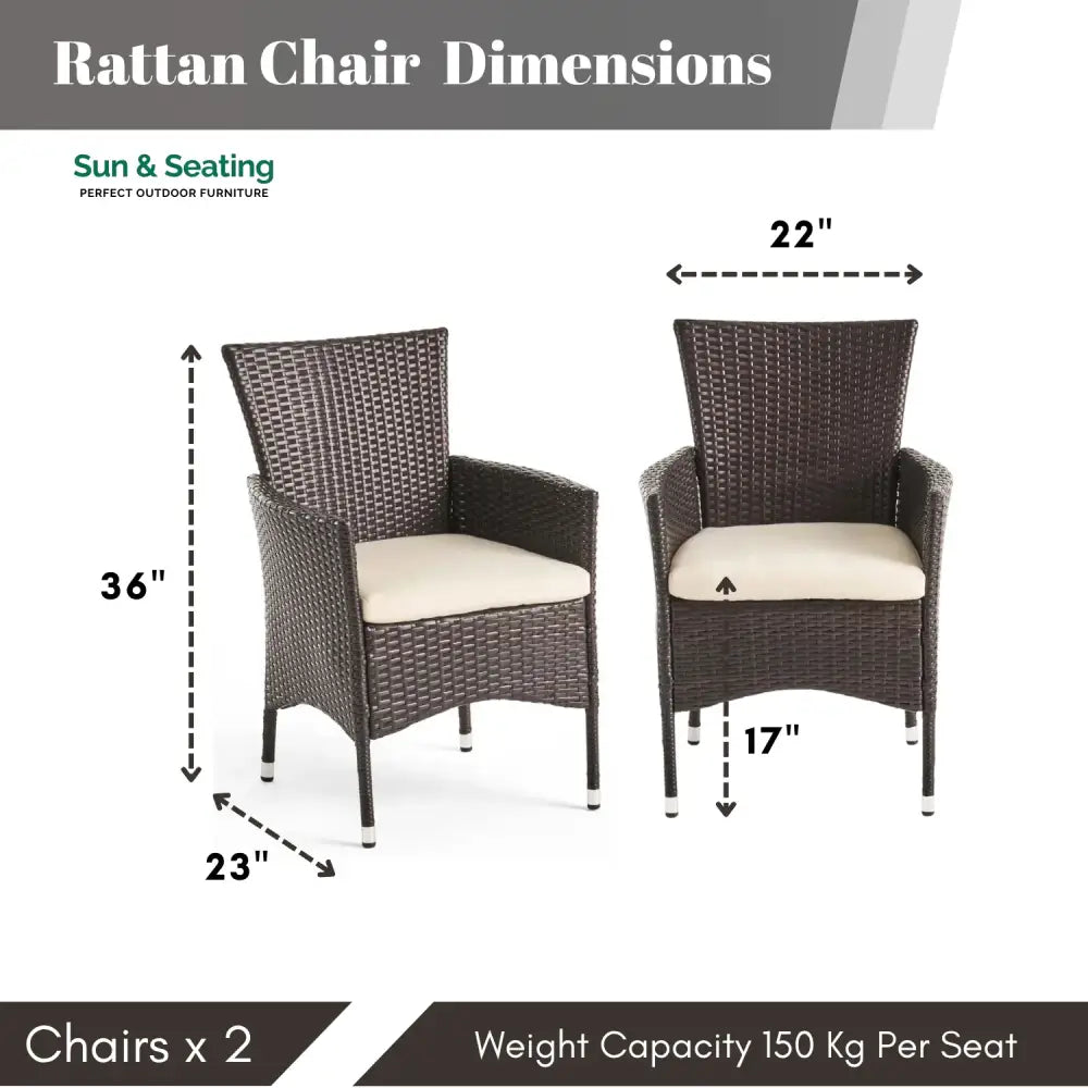 Hailey 2-Piece Outdoor Rattan Wicker Patio Dining Chairs Dinning Chairs