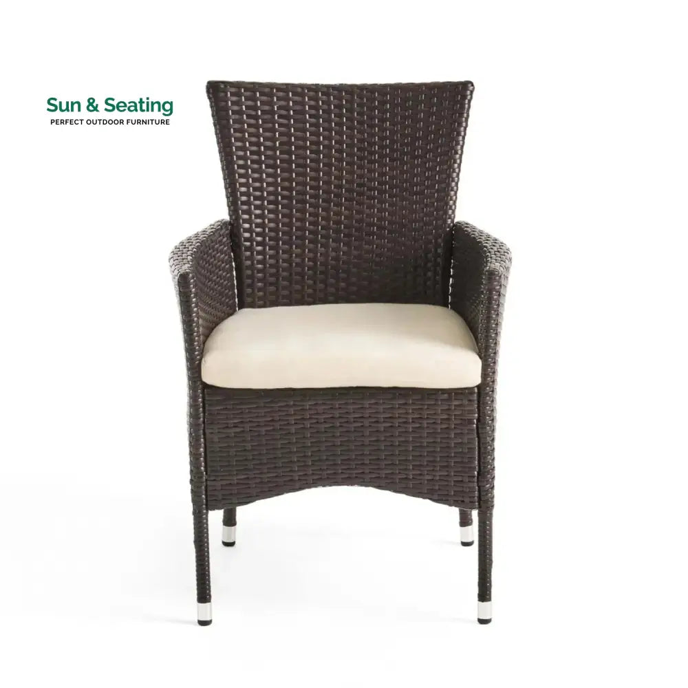 Hailey 2-Piece Outdoor Rattan Wicker Patio Dining Chairs Dinning Chairs