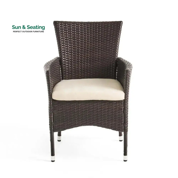 Hailey 2-Piece Outdoor Rattan Wicker Patio Dining Chairs Dinning Chairs