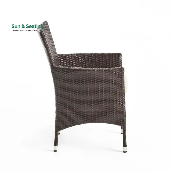 Hailey 2-Piece Outdoor Rattan Wicker Patio Dining Chairs Dinning Chairs