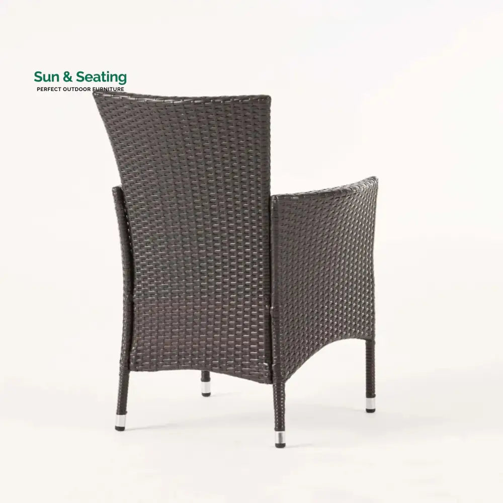 Hailey 2-Piece Outdoor Rattan Wicker Patio Dining Chairs Dinning Chairs