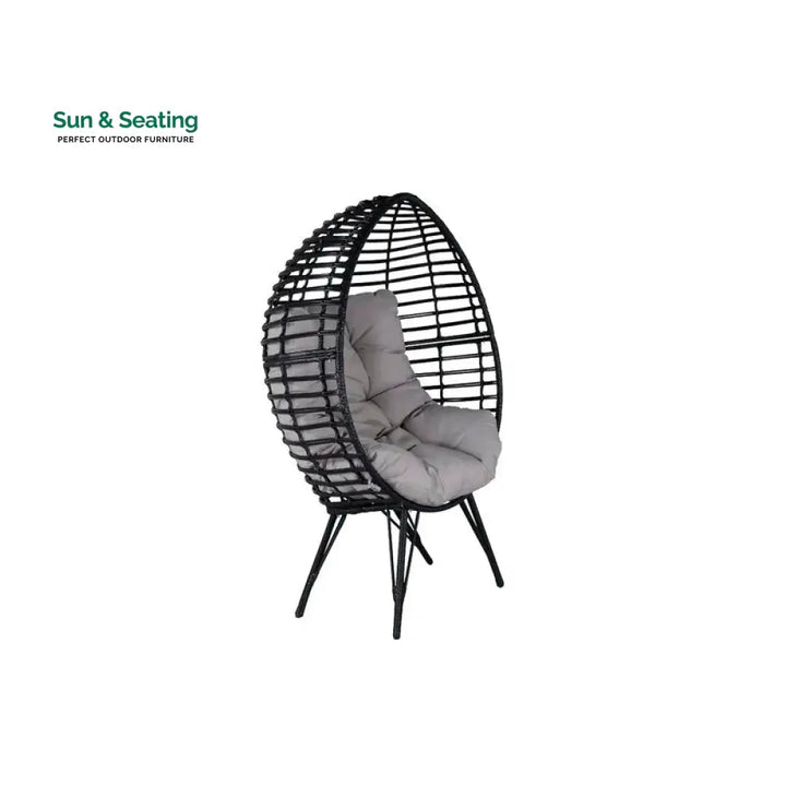 Rosiello Single Seater Swing Basket For Balcony &amp; Garden (Black) Swings