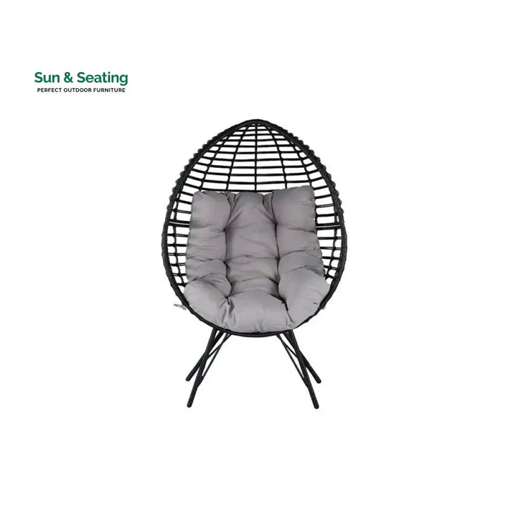 Rosiello Single Seater Swing Basket For Balcony &amp; Garden (Black) Swings