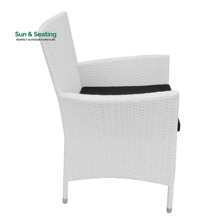 Seraphina 9-Piece Outdoor Rattan Wicker Dinning Table Set Dining Set