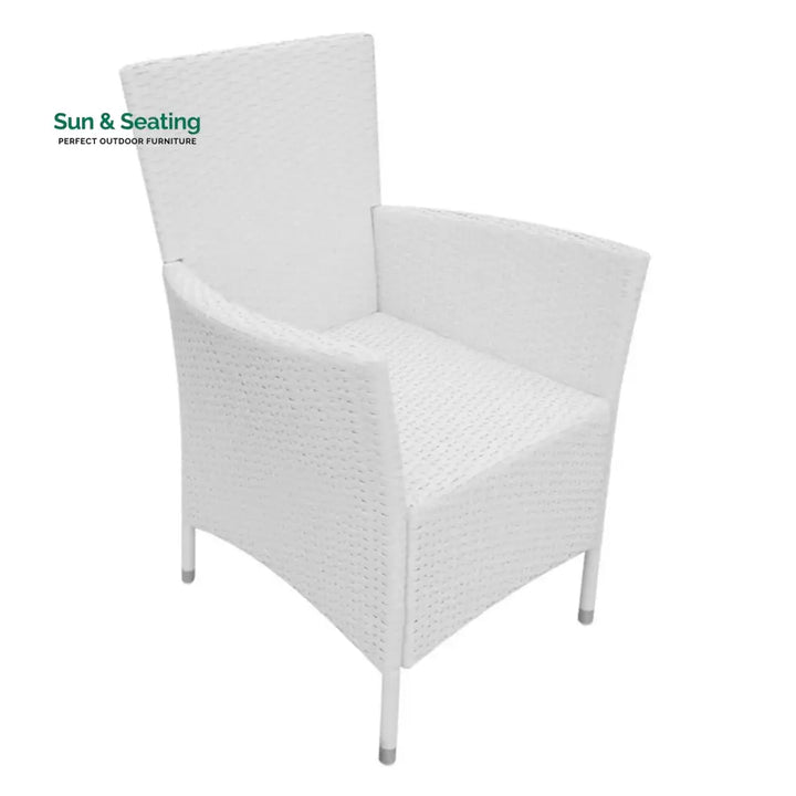 Seraphina 9-Piece Outdoor Rattan Wicker Dinning Table Set Dining Set