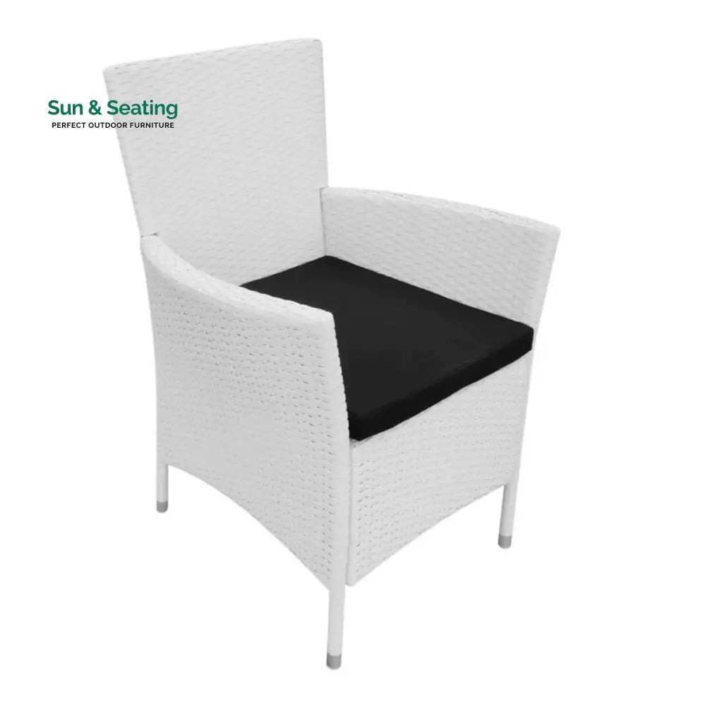 Seraphina 9-Piece Outdoor Rattan Wicker Dinning Table Set Dining Set