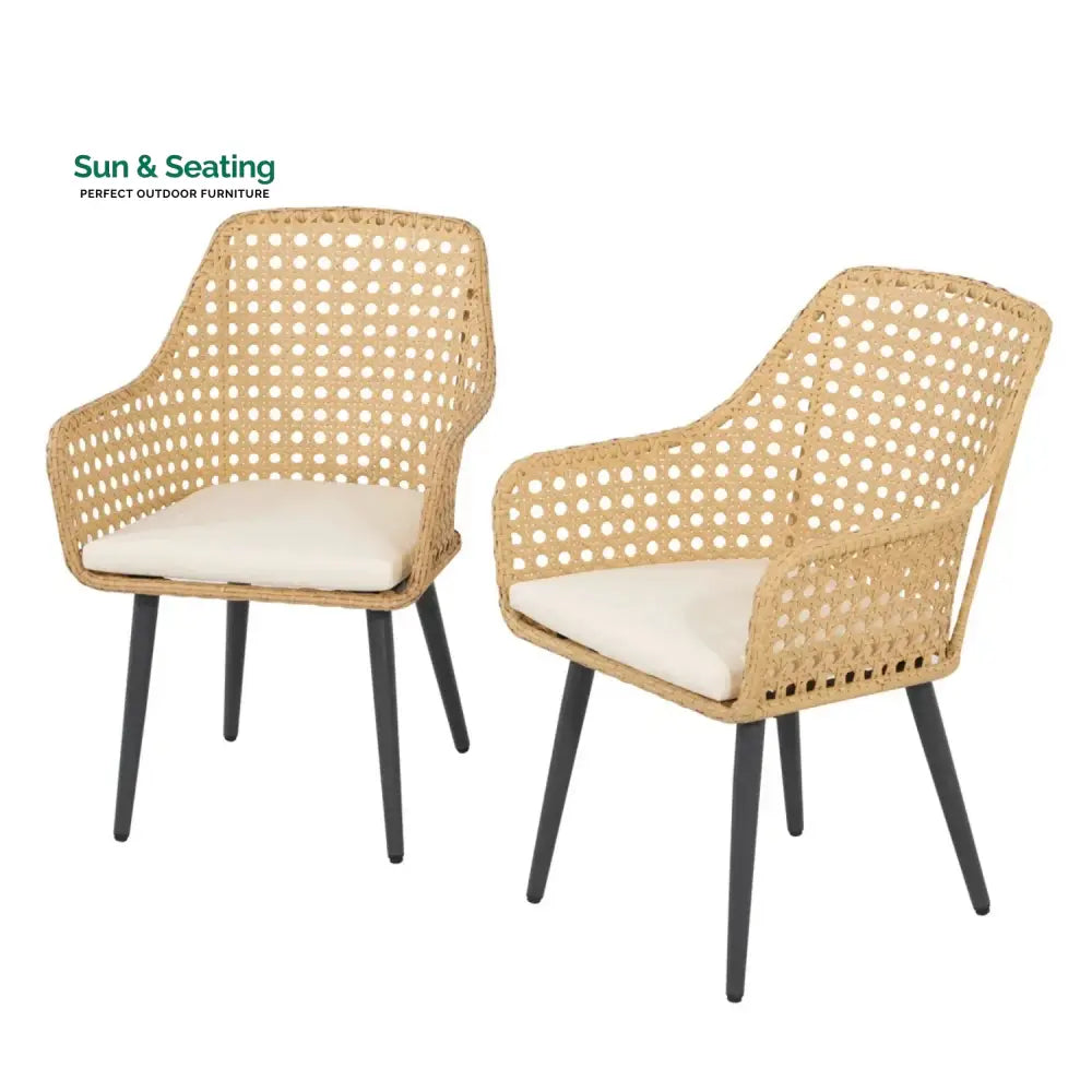 Shreya 2-Piece Outdoor Rattan Wicker Patio Dining Chairs Dinning Chairs
