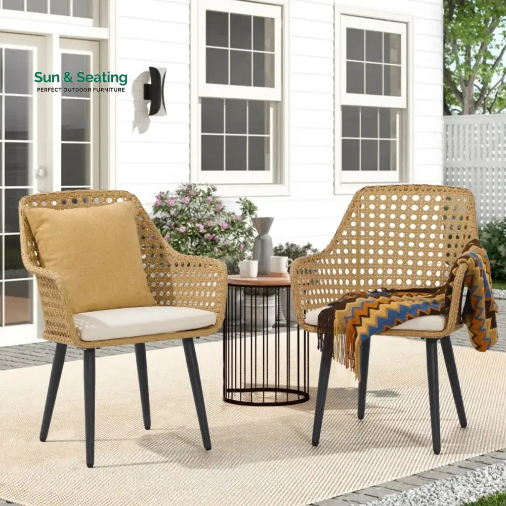 Shreya 2-Piece Outdoor Rattan Wicker Patio Dining Chairs Dinning Chairs