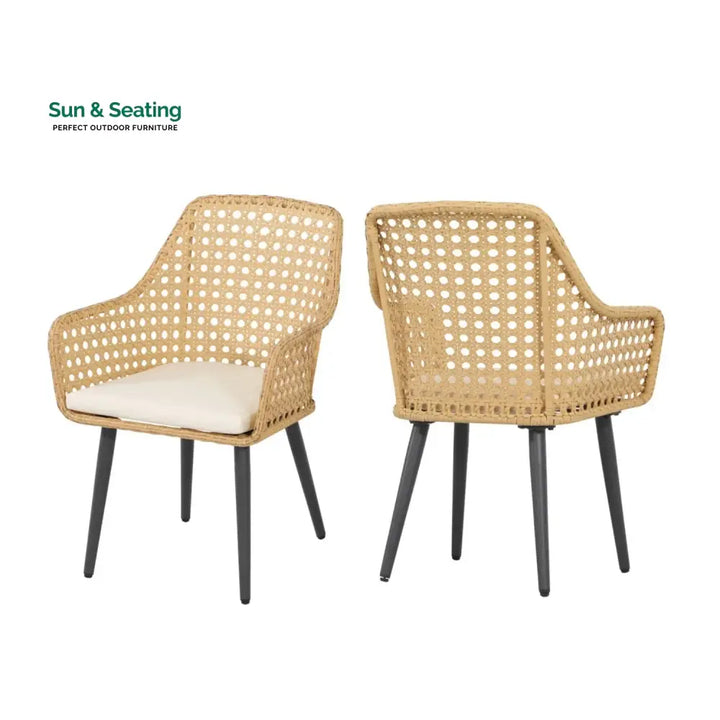 Shreya 2-Piece Outdoor Rattan Wicker Patio Dining Chairs Dinning Chairs
