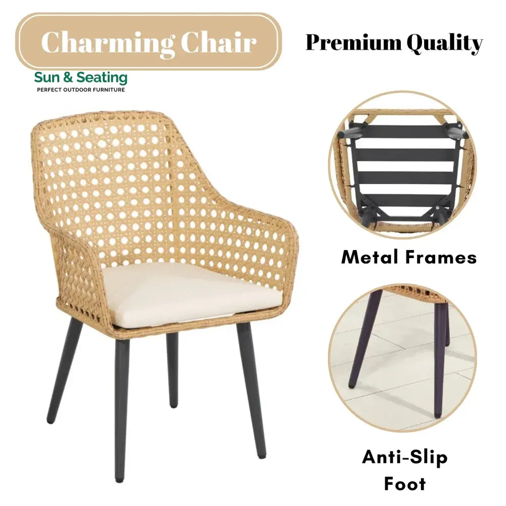 Shreya 2-Piece Outdoor Rattan Wicker Patio Dining Chairs Dinning Chairs