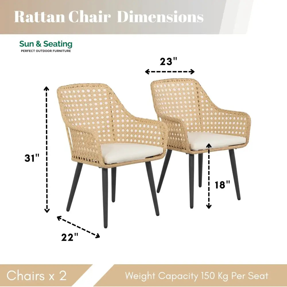 Shreya 2-Piece Outdoor Rattan Wicker Patio Dining Chairs Dinning Chairs