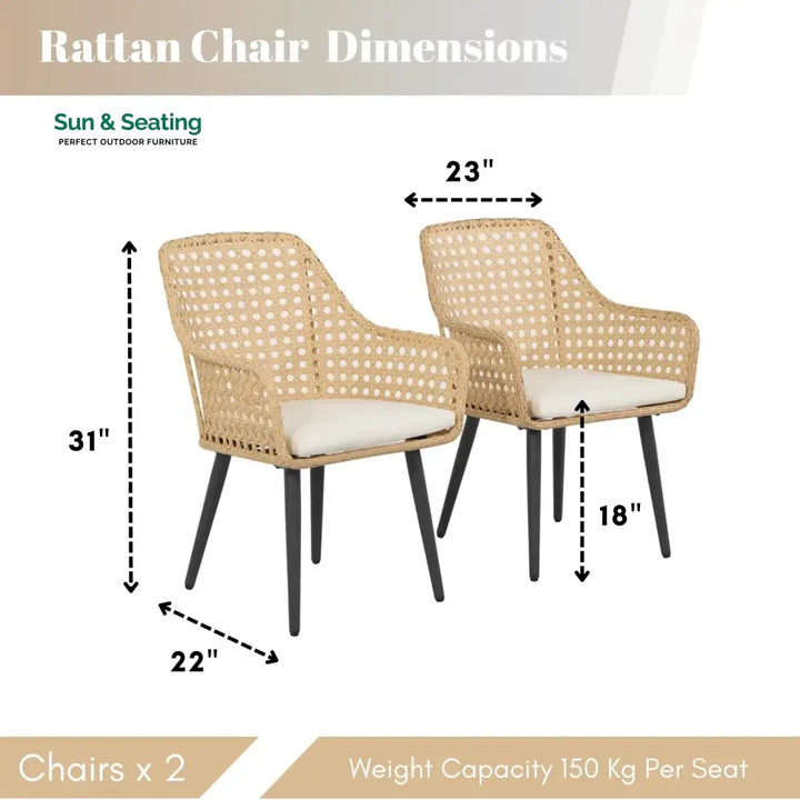 Shreya 2-Piece Outdoor Rattan Wicker Patio Dining Chairs Dinning Chairs