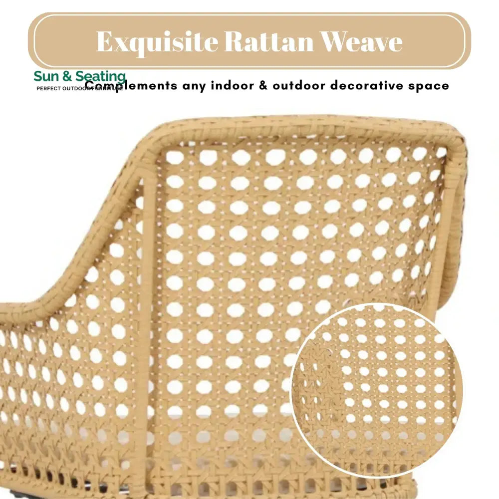 Shreya 2-Piece Outdoor Rattan Wicker Patio Dining Chairs Dinning Chairs