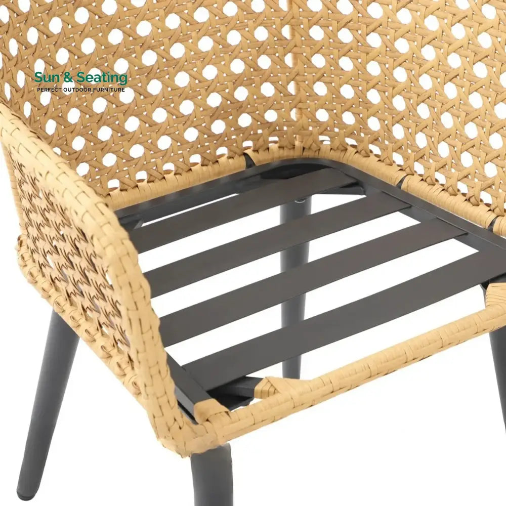 Shreya 2-Piece Outdoor Rattan Wicker Patio Dining Chairs Dinning Chairs