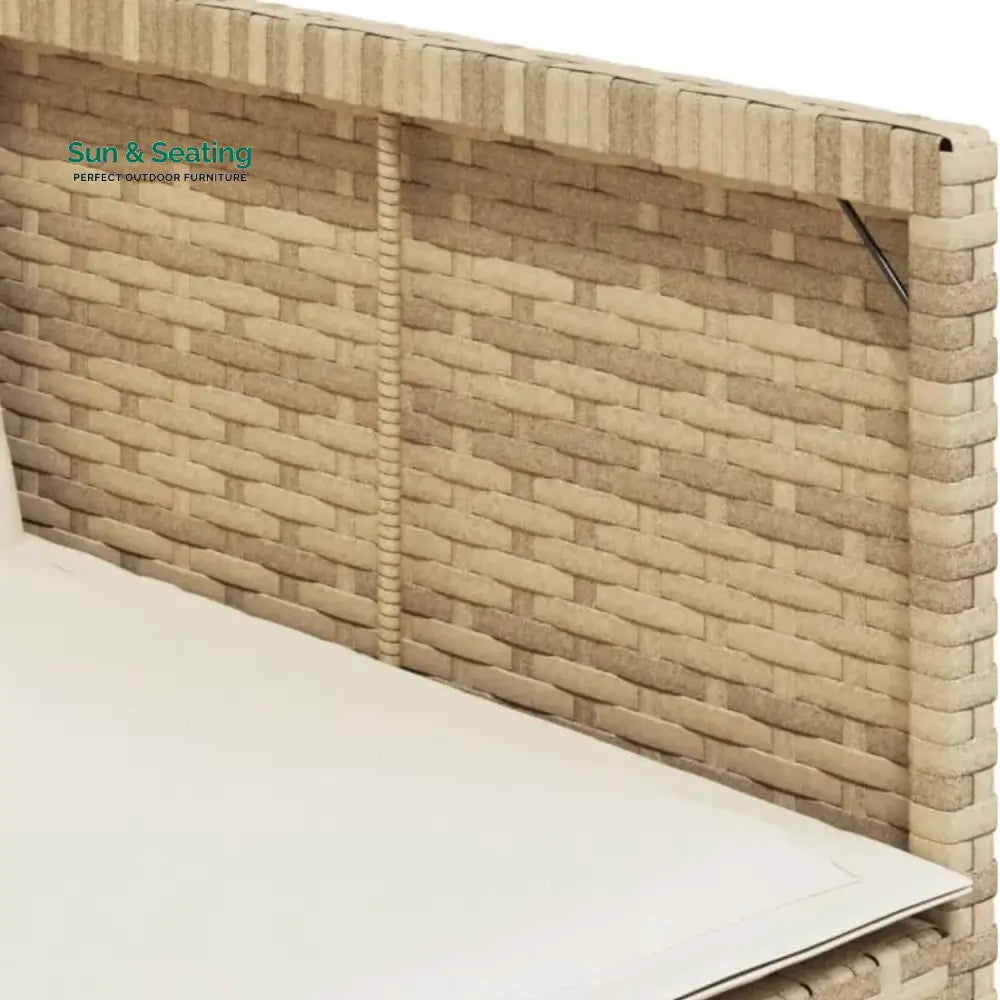 Sigrid Outdoor Rattan Wicker Dinning Set 9-Piece Dining Set