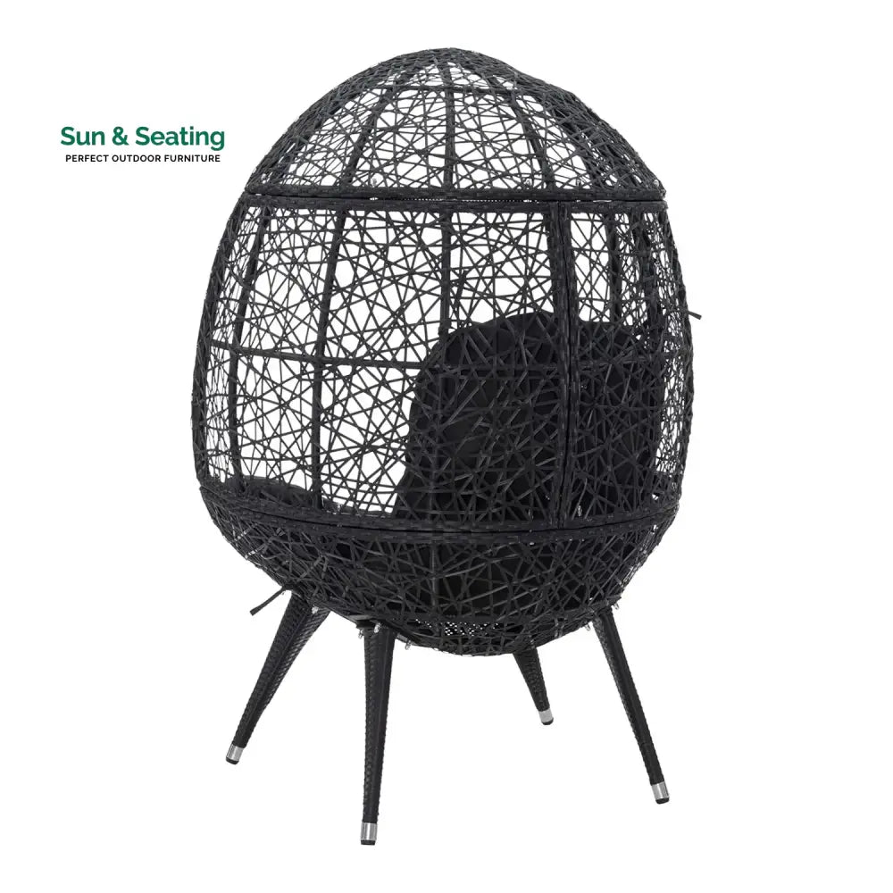 Wafaa Outdoor All-Weather Wicker Egg Chair Egg Chair